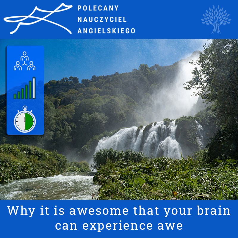Polecany Nauczyciel Angielskiego - Why it is awesome that your brain can experience awe